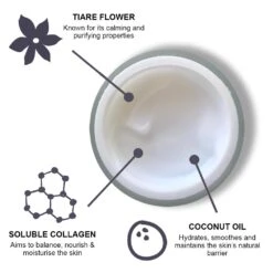 Anti-Ageing Restoring Night Moisturiser 50mI(Doctors Formula Anti Ageing Restoring Night Moisturiser 50mi) -Skinchemists anti ageing restoring night moisturiser 50mi 535726